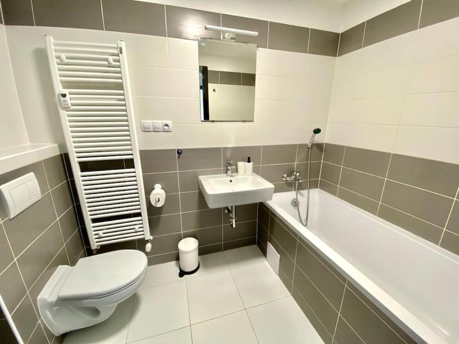 Two-room With Garage In The Center Plzen